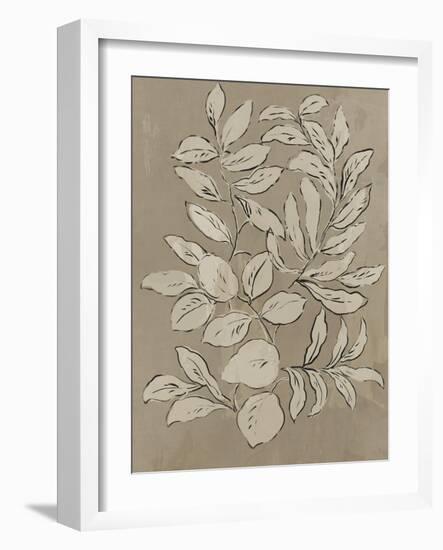 Leaves Sketches II-Asia Jensen-Framed Art Print