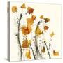 Leaves Still Life-Nel Talen-Stretched Canvas