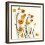 Leaves Still Life-Nel Talen-Framed Giclee Print