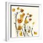 Leaves Still Life-Nel Talen-Framed Giclee Print