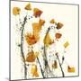 Leaves Still Life-Nel Talen-Mounted Giclee Print