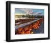 Leaves & Vancouver Downtown-null-Framed Art Print