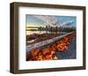 Leaves & Vancouver Downtown-null-Framed Art Print