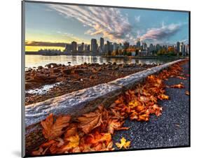 Leaves & Vancouver Downtown-null-Mounted Art Print