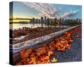 Leaves & Vancouver Downtown-null-Stretched Canvas