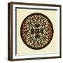 Leaves - Yoga Mandala-cienpies-Framed Art Print