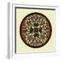 Leaves - Yoga Mandala-cienpies-Framed Art Print