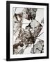 Leaves-Design Fabrikken-Framed Photographic Print