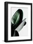 Leaves-Incado-Framed Photographic Print