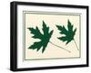 Leaves-Crockett Collection-Framed Giclee Print