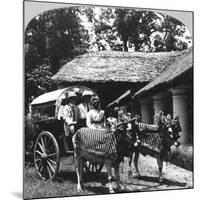 Leaving the Dak Bungalow for a 'Bile-Gharry, Belgaum District, Southern India, 1900s-null-Mounted Giclee Print