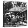 Leaving the Dak Bungalow for a 'Bile-Gharry, Belgaum District, Southern India, 1900s-null-Stretched Canvas