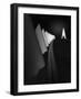 Leaving the Scene-Olavo Azevedo-Framed Giclee Print