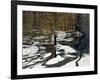 Leaving the Shore-Bruce Dumas-Framed Giclee Print