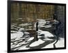 Leaving the Shore-Bruce Dumas-Framed Giclee Print