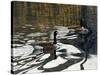 Leaving the Shore-Bruce Dumas-Stretched Canvas