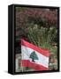 Lebanese Flag, Byblos, Lebanon, Middle East-Christian Kober-Framed Stretched Canvas