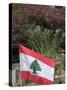 Lebanese Flag, Byblos, Lebanon, Middle East-Christian Kober-Stretched Canvas