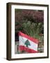 Lebanese Flag, Byblos, Lebanon, Middle East-Christian Kober-Framed Photographic Print