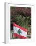 Lebanese Flag, Byblos, Lebanon, Middle East-Christian Kober-Framed Photographic Print