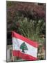 Lebanese Flag, Byblos, Lebanon, Middle East-Christian Kober-Mounted Photographic Print