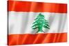 Lebanese Flag-daboost-Stretched Canvas