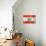 Lebanese Flag-daboost-Stretched Canvas displayed on a wall