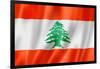 Lebanese Flag-daboost-Framed Art Print