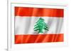 Lebanese Flag-daboost-Framed Art Print