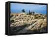 Lebanon, Byblos, Ruins of the Temple of Baalat Gebel and Roman Colonnade-null-Framed Stretched Canvas