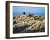 Lebanon, Byblos, Ruins of the Temple of Baalat Gebel and Roman Colonnade-null-Framed Giclee Print