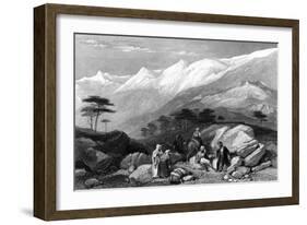 Lebanon Cedars-JD Harding-Framed Art Print