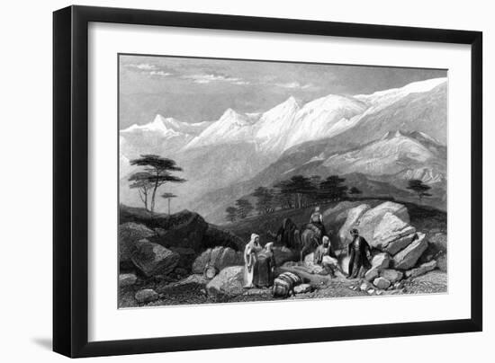 Lebanon Cedars-JD Harding-Framed Art Print