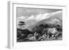 Lebanon Cedars-JD Harding-Framed Art Print