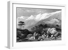 Lebanon Cedars-JD Harding-Framed Art Print