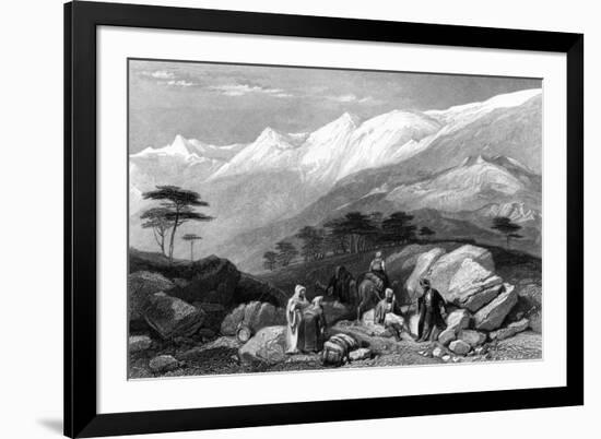 Lebanon Cedars-JD Harding-Framed Premium Giclee Print