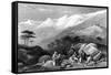 Lebanon Cedars-JD Harding-Framed Stretched Canvas