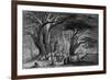 Lebanon Cedars-WH Bartlett-Framed Art Print