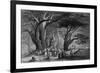 Lebanon Cedars-WH Bartlett-Framed Art Print