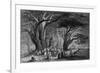 Lebanon Cedars-WH Bartlett-Framed Premium Giclee Print