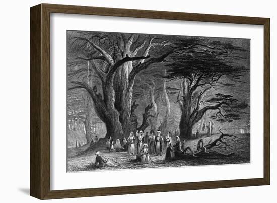 Lebanon Cedars-WH Bartlett-Framed Art Print