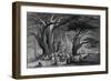 Lebanon Cedars-WH Bartlett-Framed Art Print