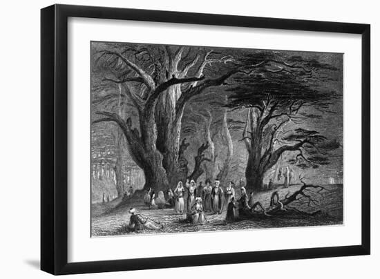 Lebanon Cedars-WH Bartlett-Framed Art Print