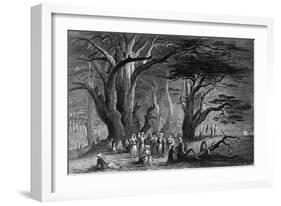 Lebanon Cedars-WH Bartlett-Framed Art Print