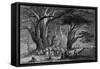 Lebanon Cedars-WH Bartlett-Framed Stretched Canvas