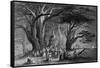 Lebanon Cedars-WH Bartlett-Framed Stretched Canvas