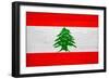 Lebanon Flag Design with Wood Patterning - Flags of the World Series-Philippe Hugonnard-Framed Premium Giclee Print