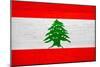 Lebanon Flag Design with Wood Patterning - Flags of the World Series-Philippe Hugonnard-Mounted Premium Giclee Print