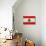 Lebanon Flag Design with Wood Patterning - Flags of the World Series-Philippe Hugonnard-Art Print displayed on a wall