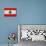 Lebanon Flag Design with Wood Patterning - Flags of the World Series-Philippe Hugonnard-Mounted Art Print displayed on a wall